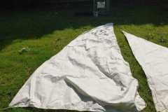 IMG-20250614-WA0022