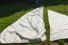 IMG-20250614-WA0024